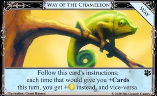 Way of the Chameleon.jpg