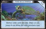 French language Way of the Turtle 2021 from Shuffle iT