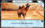 Way of the Camel