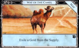 Way of the Camel.jpg
