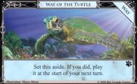 Way of the Turtle.jpg