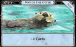 Way of the Otter from Shuffle iT